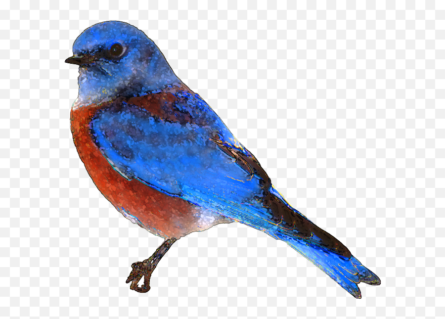 Free Bird Clipart Png Images - Eastern Bluebird Emoji,Free Bird Clipart
