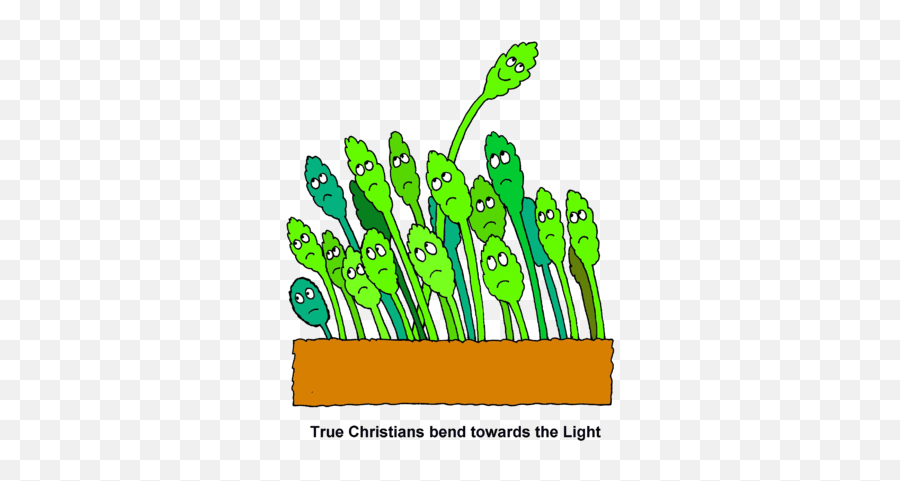 Image Growing Toward The Light - True Christians Bend Emoji,Sprout Clipart