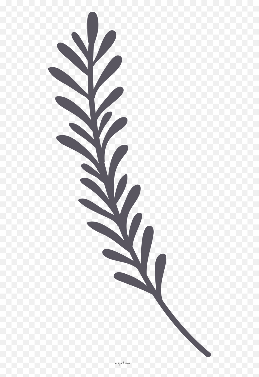 Nature Twig Plant Stem Leaf For Leaf - Leaf Clipart Nature Emoji,Nature Clipart Black And White