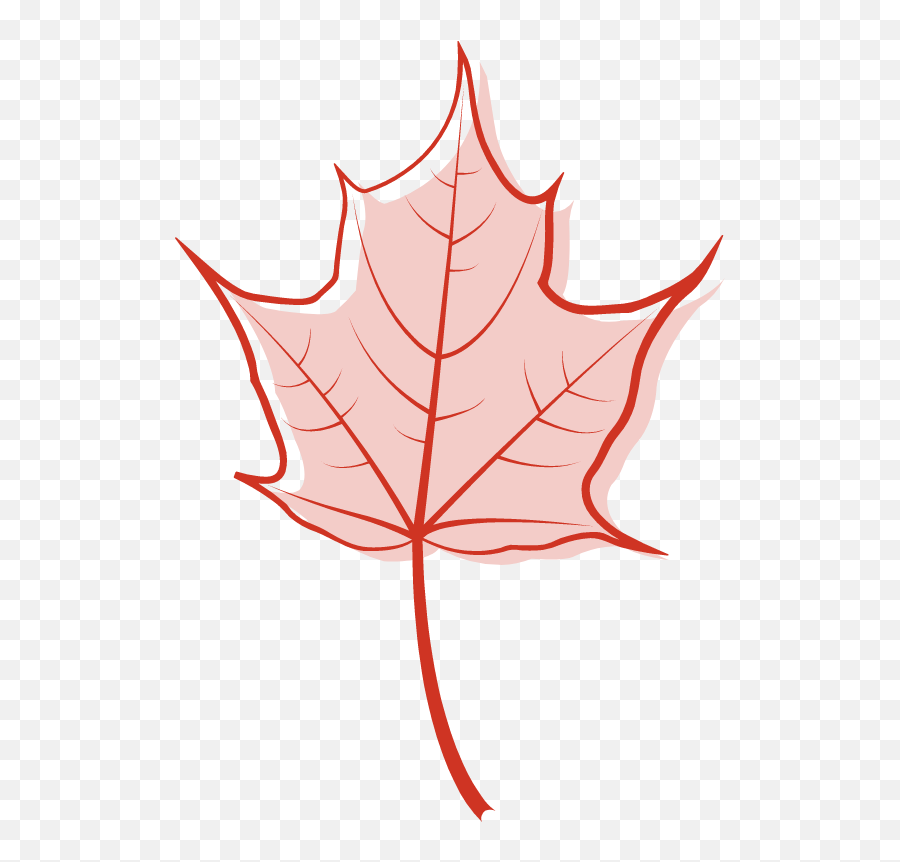 Pink Maple Leaf Graphic - Maple Leaf Clipart Pink Emoji,Maple Leaf Clipart