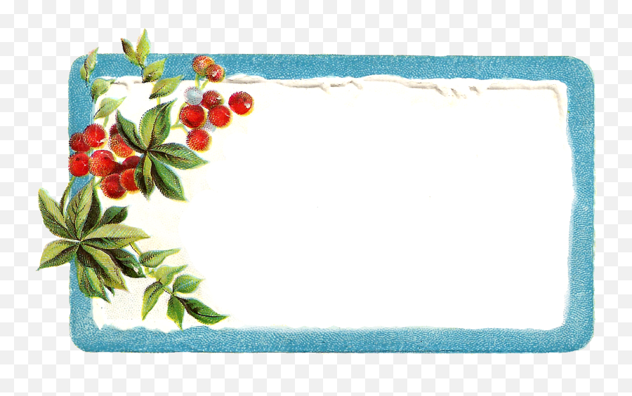 Poinsettia Clipart Christmas Gift Tag - Free Christmas Border Labels Emoji,Gift Tag Clipart