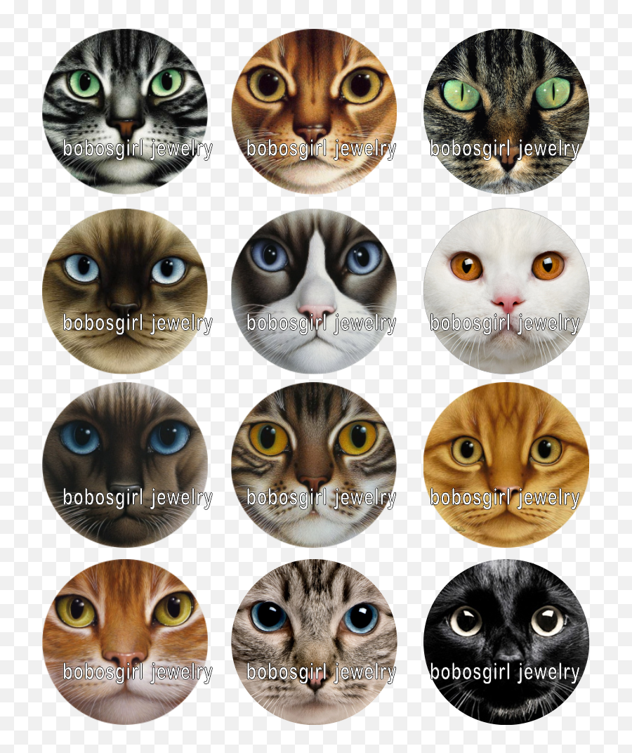 Mixed Set High Quality Animal Cat Dog Horse Glass Snap Emoji,Cat Dog Clipart
