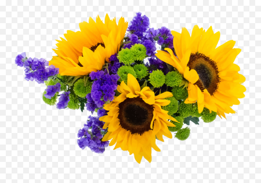 Sunflower Seedplantflower Png Clipart - Royalty Free Svg Png Emoji,Free Sunflower Clipart