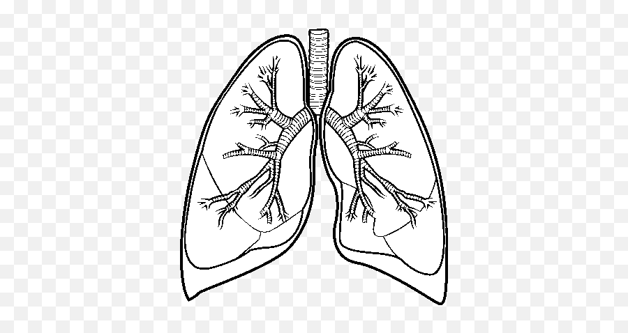 Lungs Coloring Pages - Coloring Home Emoji,Lungs Clipart Black And White