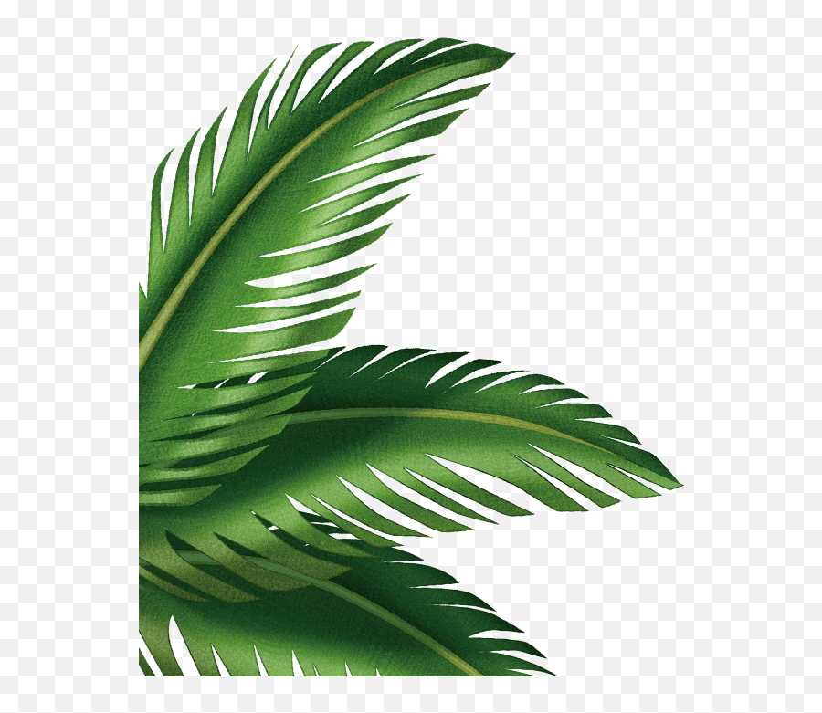 Palm Tree Leaves - Shipwrecked Vbs Palm Tree Transparent Palm Tree Iphone Emojis,Palm Tree Transparent