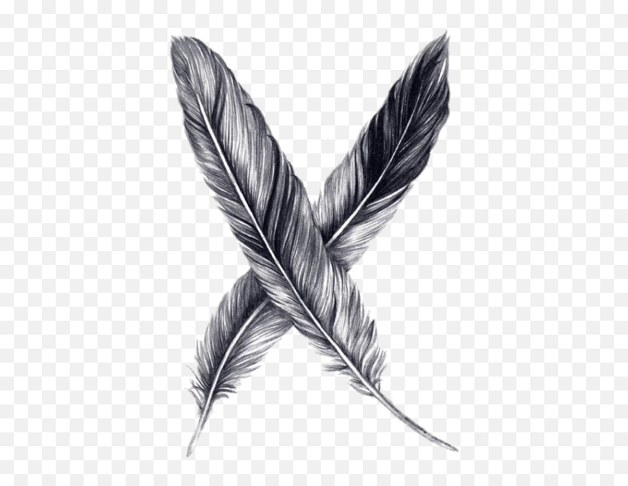 Feathers Drawing Transparent Png - Stickpng Realistic Pencil Feather Drawing Emoji,Feather Transparent Background