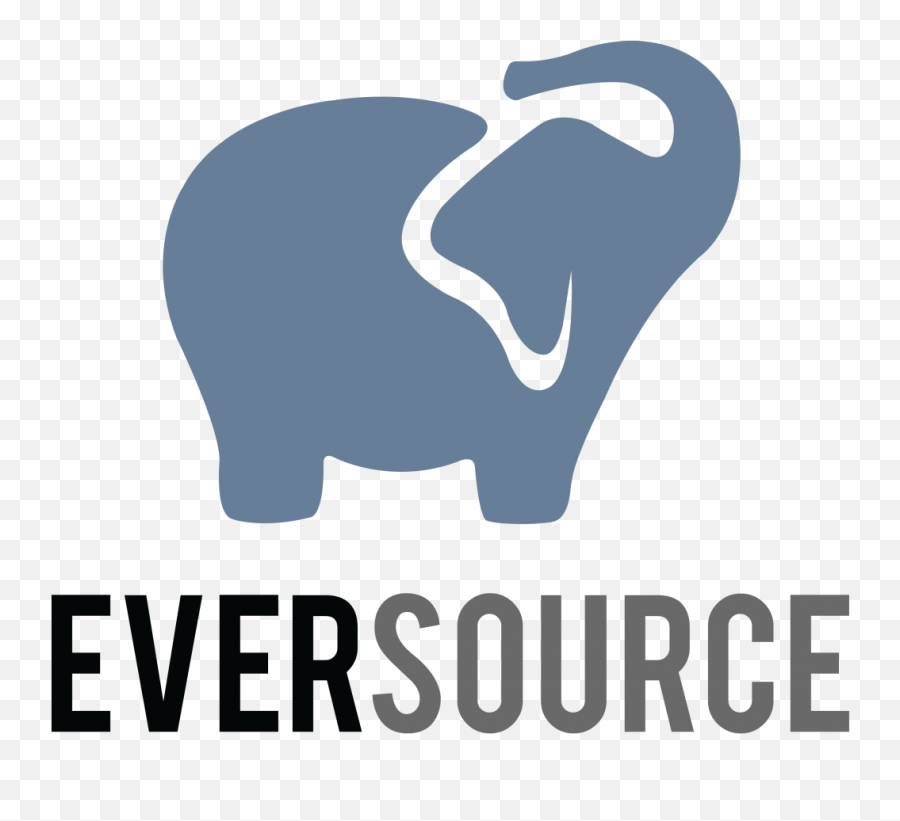 David Sheldrick Wildlife Trust - Big Emoji,Elephant Logo