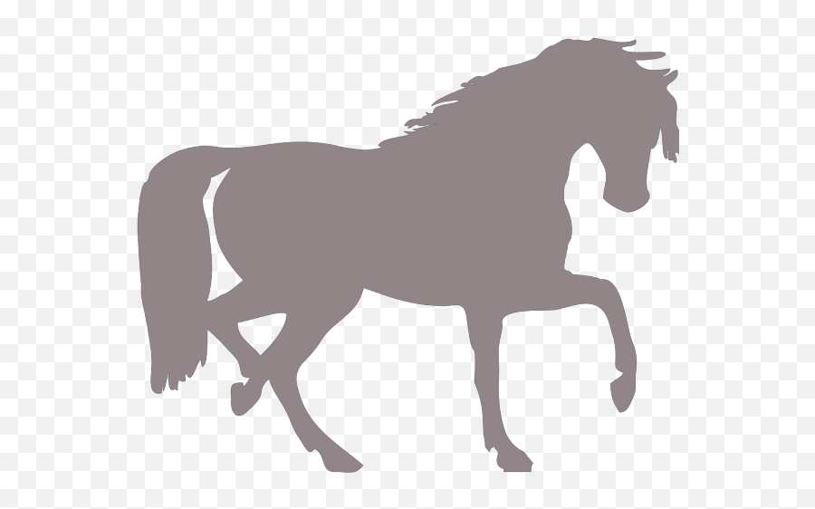 Grey Horse Png Svg Clip Art For Web - Download Clip Art Emoji,White Horse Png