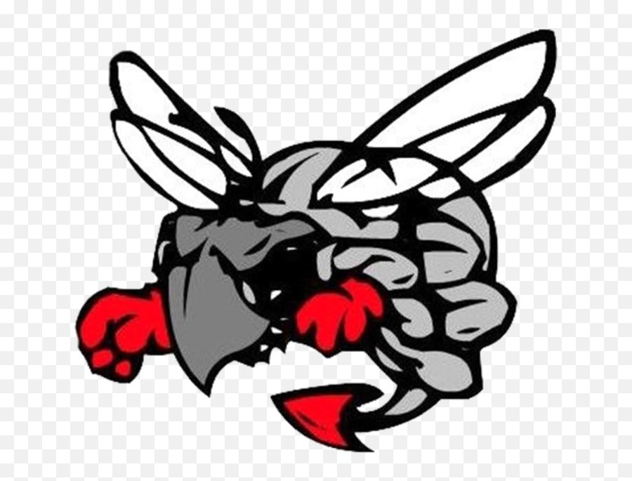Hilldale Hornets - Hilldale High School Logo 720x720 Png Emoji,Hornets Logo Png