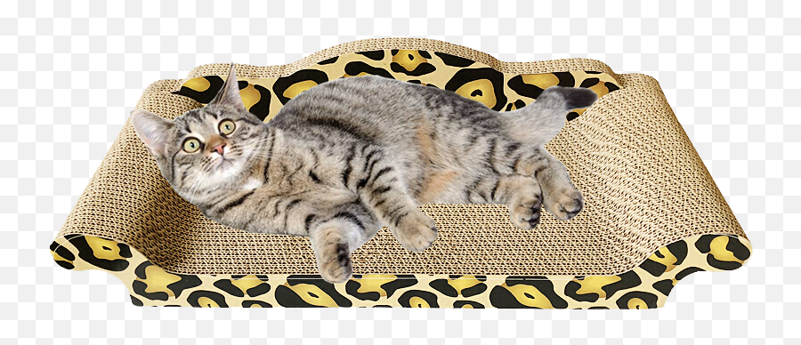 Download Hd Out Of Stock Cat Scratch Bed To Buy 1 Get 1 Emoji,Scratch Cat Png