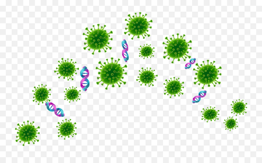 Corona Virus Coronavirus Covid19 Sticker By Ariane Emoji,Fireworks Gif Transparent Background
