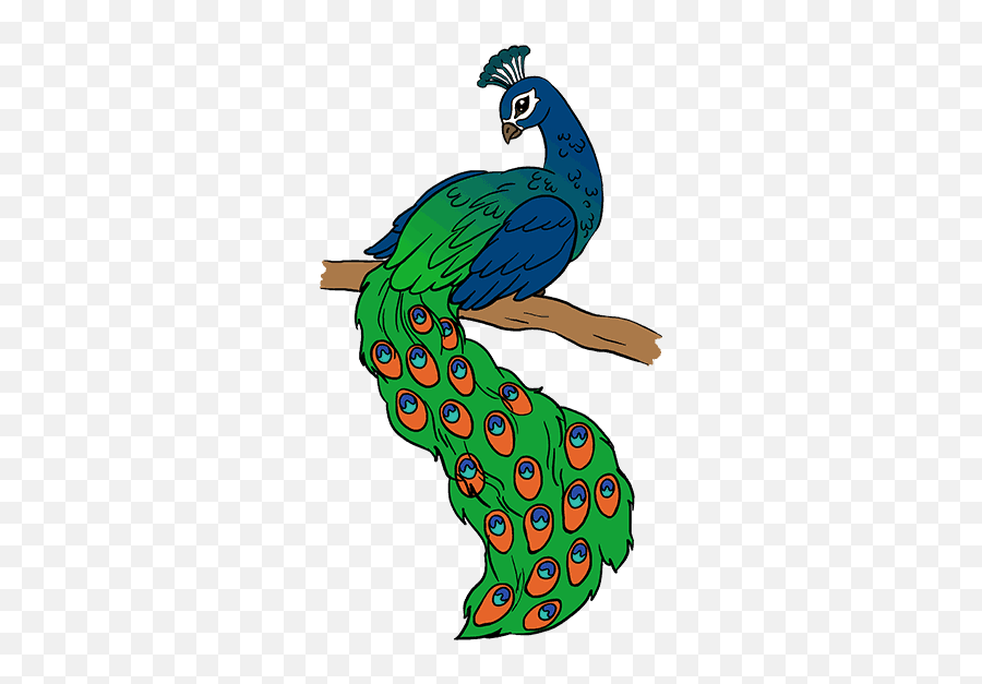 Drawing Picture Of Peacock Clipart - Simple Art Peacock Drawing Emoji,Peacock Clipart