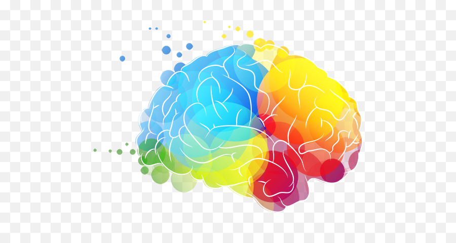 Brain Png - Art Brain Emoji,Brain Png