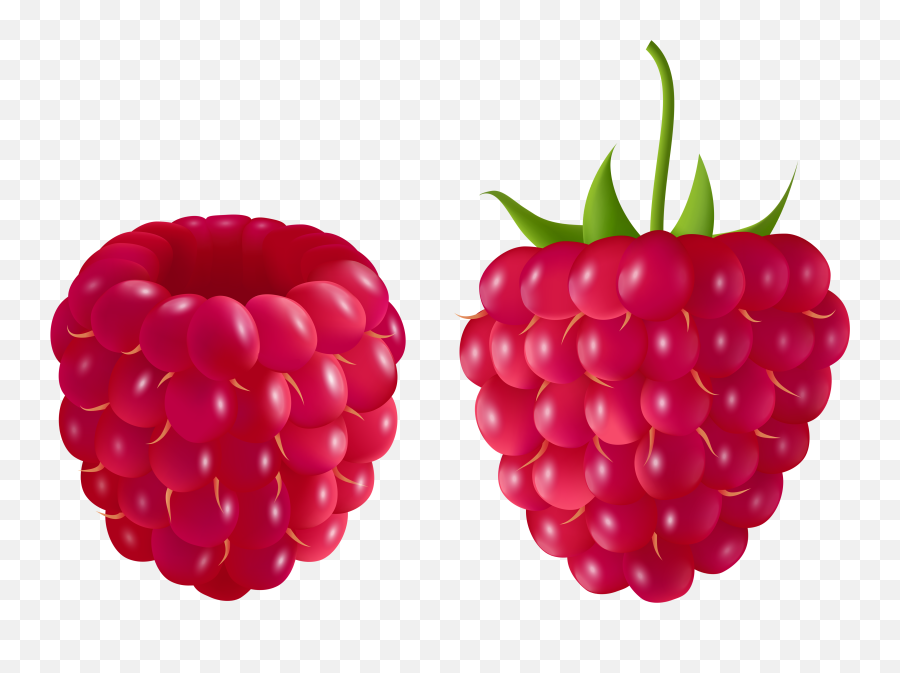 Free Raspberry Cliparts Png Images - Raspberry Clipart Png Emoji,Raspberry Clipart