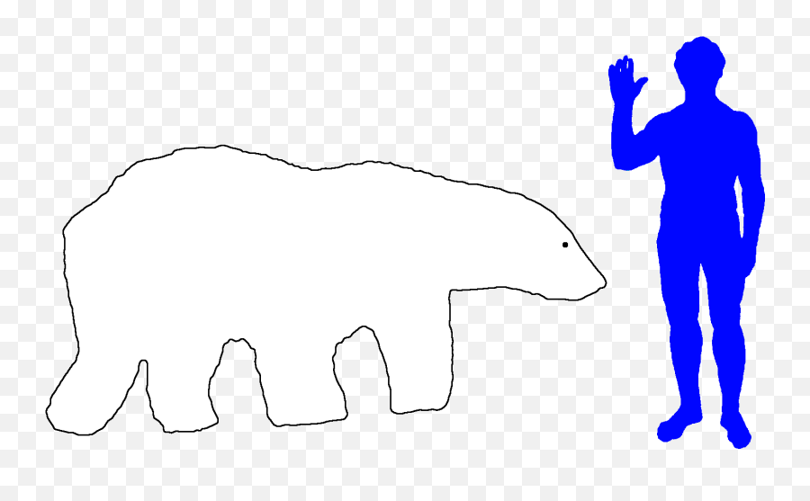 Polar Bear Clipart Png - Habitat Drawing Polar Bear Size Labrador Vs Human Size Emoji,Polar Bear Clipart