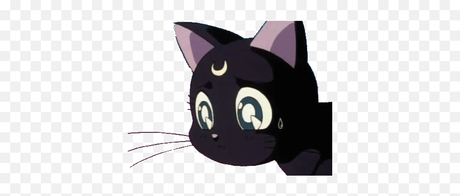 Gif In Anime And Manga - Sailor Moon Cat Black Emoji,Anime Gif Png
