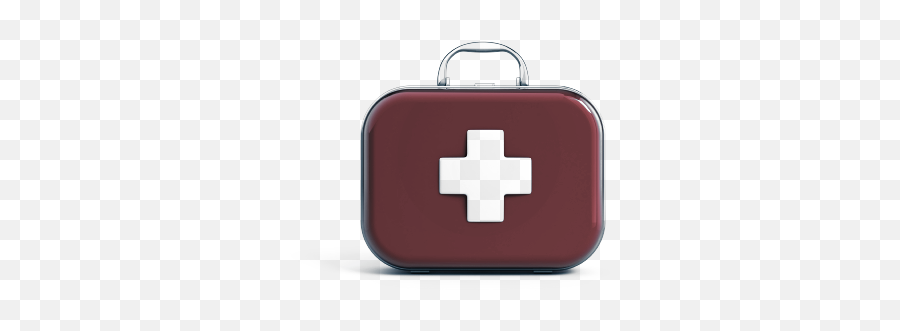 Equine First Aid Kit Horse Side Vet Guide - Kit Pronto Soccorso Png Emoji,First Aid Kit Clipart