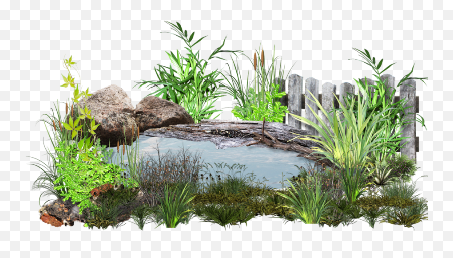 Pond Cartoon Clipart - Artificial Aquarium Plant Emoji,Pond Clipart