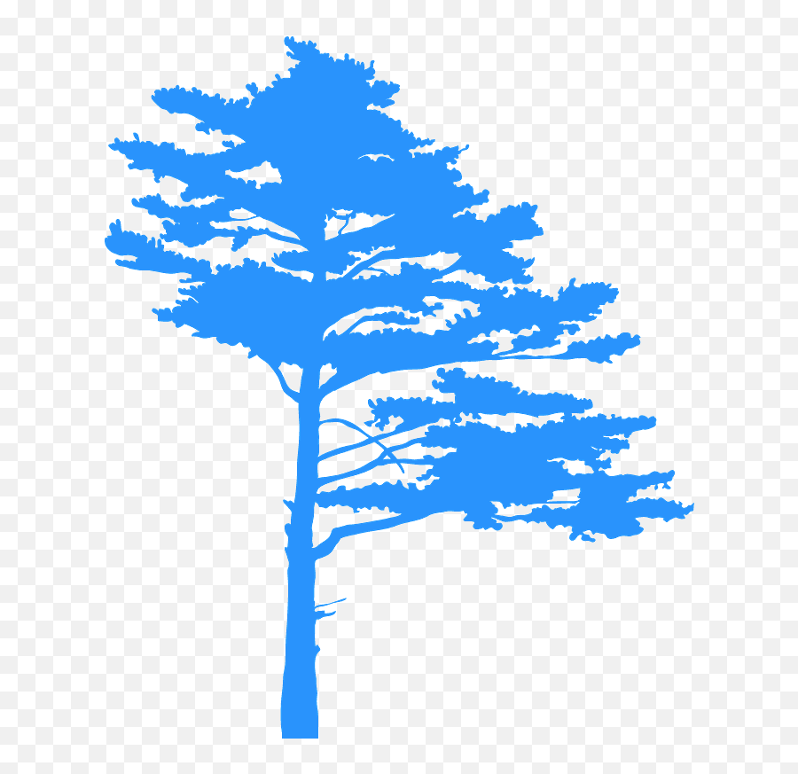 Pine Tree Silhouette - Free Vector Silhouettes Creazilla Emoji,Pine Trees Silhouette Png
