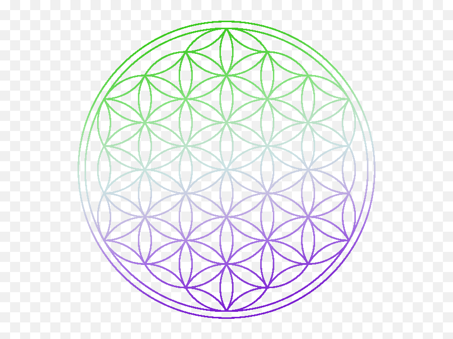 Picture - Flower Of Life Emoji,Flower Of Life Png