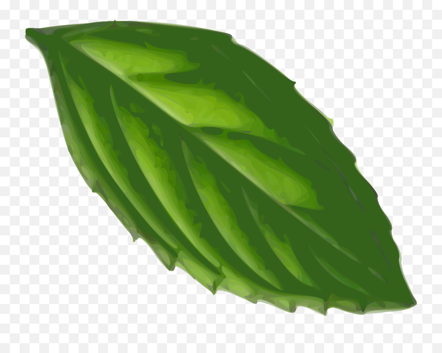 Leaf Of Mint Clipart Free Image - Mint Leaf Drawing Transparent Emoji,Mint Png