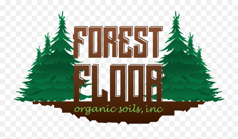 Library Of Forest Floor Jpg Library Download Png Files - For Holiday Emoji,Forest Clipart