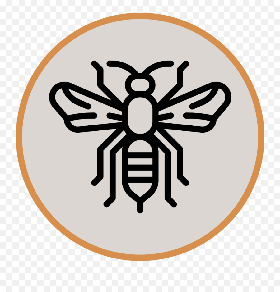 Start Ups U2013 Beehive Media - Honey Bee Emoji,Bee Hive Logo