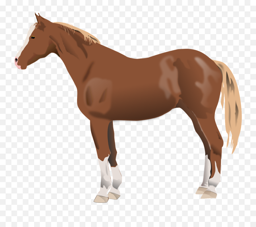 Horse Animal - Free Vector Graphic On Pixabay Emoji,Farm Png