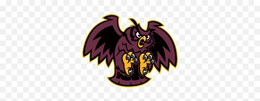 Logo1png 400400 Owl Logo Mascot Owl - Park Ridge Park Owls Logo Emoji,Owl Logo