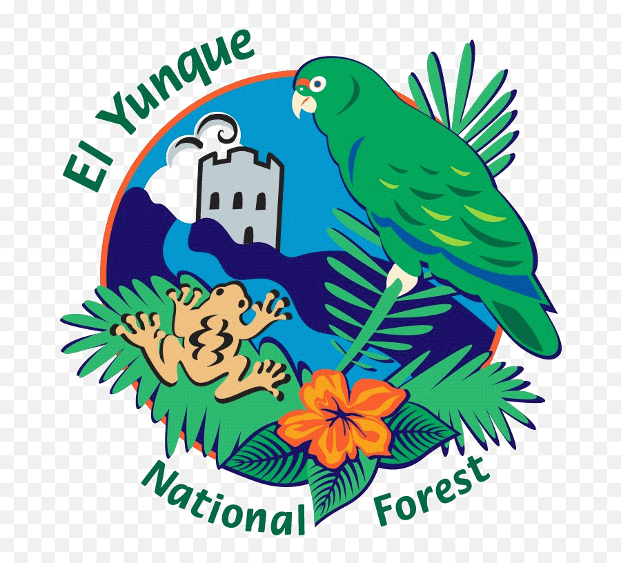 Puerto Rico - Yunque Rios De Puerto Rico Emoji,Puerto Rico Clipart