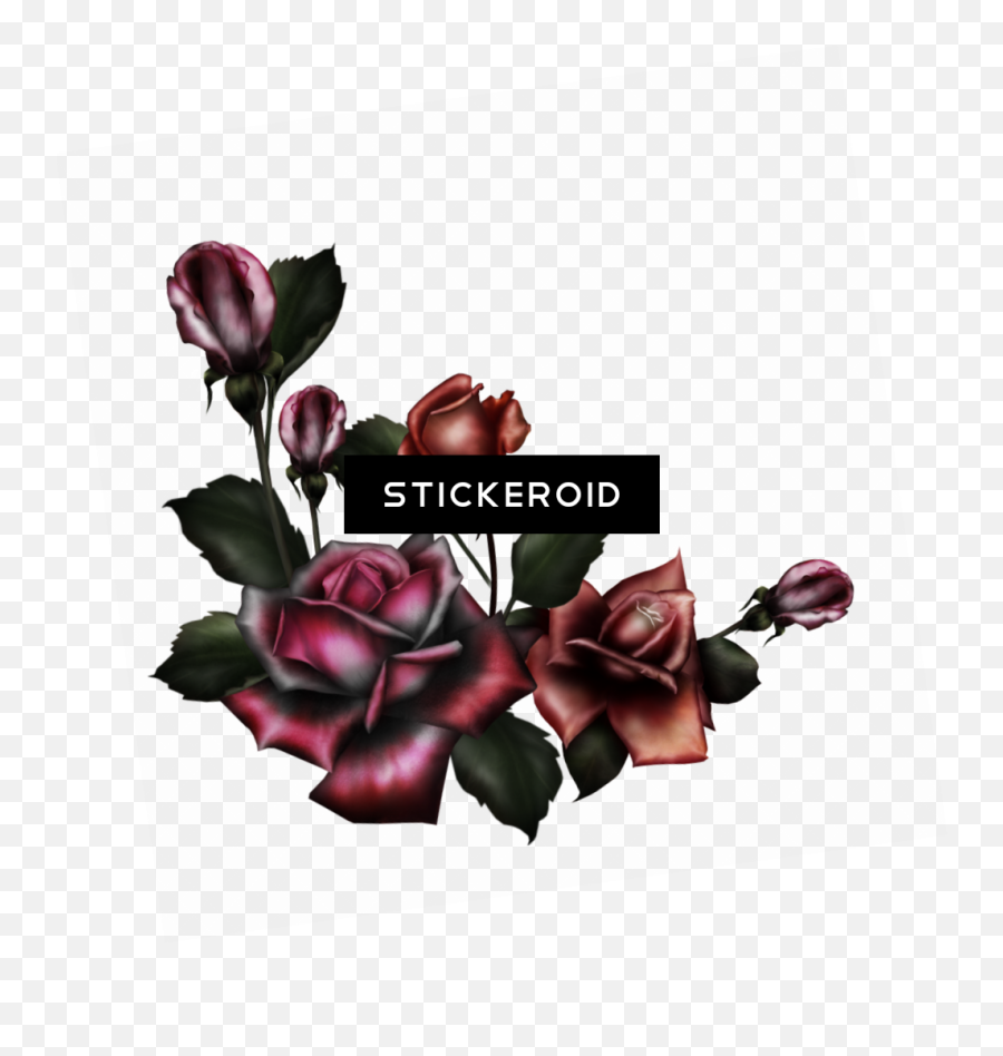 Purple Rose - Gothic Flowers Png Hd Png Download Original Gothic Architecture Emoji,Gothic Border Png