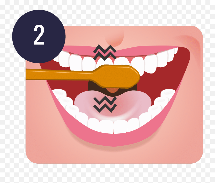 Step Brushing Teeth Png Png Image With - Proper Tooth Brushing Clipart Emoji,Teeth Clipart