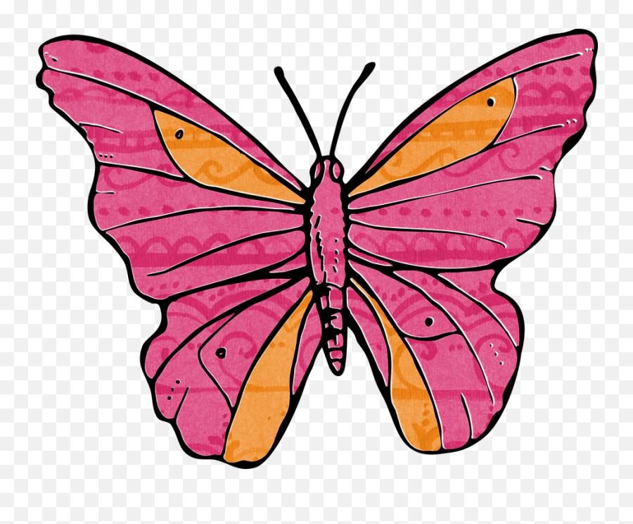 Free Photo Vintage Background Orange Pink Butterfly Flower Emoji,Pink Butterfly Png