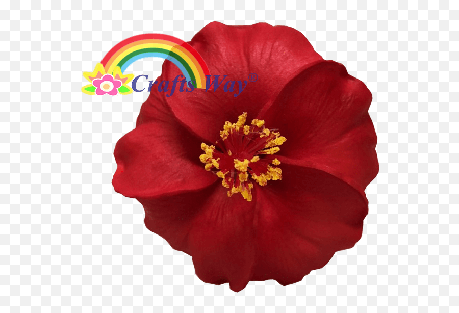 4 Foam Hibiscus Type V - Craftswayllc Artificial Flowers Emoji,Rainbow Flower Crown Transparent