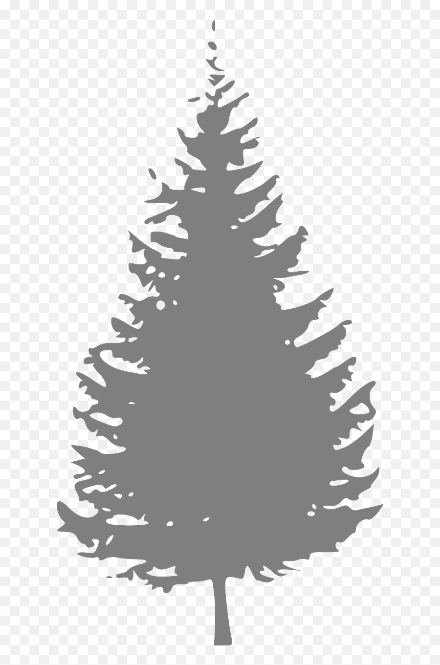 Related Image - Evergreen Trees Clipart Emoji,Pine Tree Png