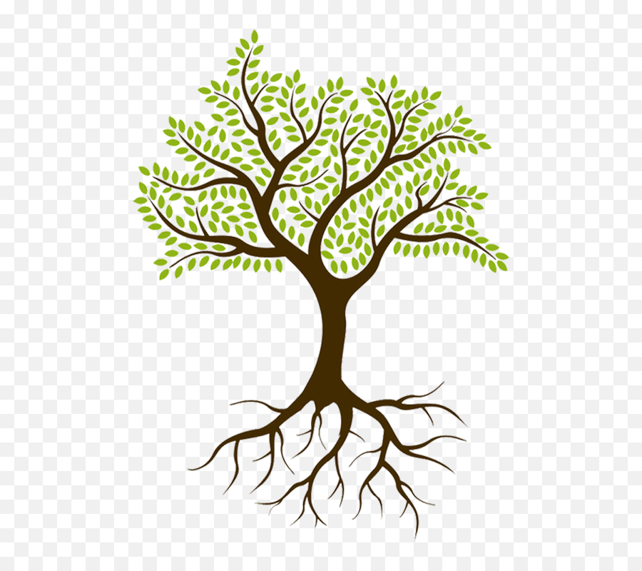 Tree With Roots Png Clipart - Tree Of Decision Making Emoji,Roots Png
