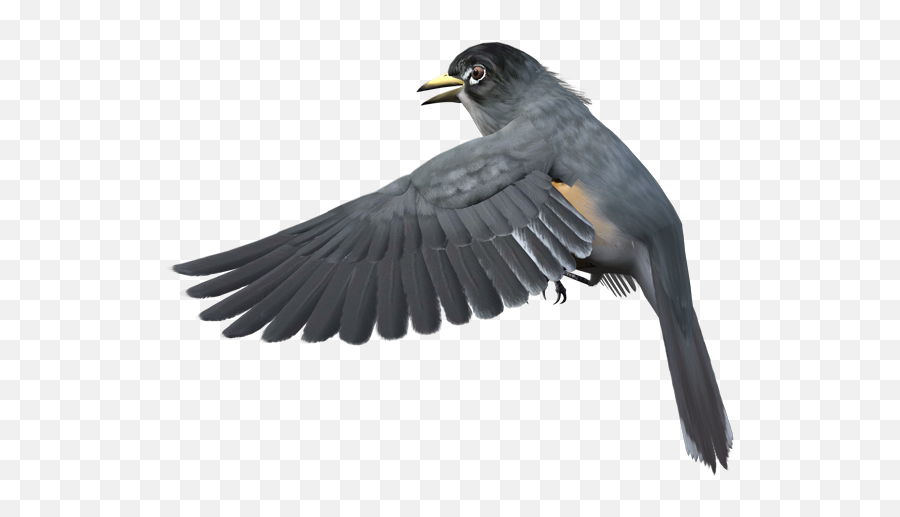 Grey Bird Free Clipart Bird Free Clip Art Bird Free - Grey Bird Transparent Background Emoji,Update Clipart
