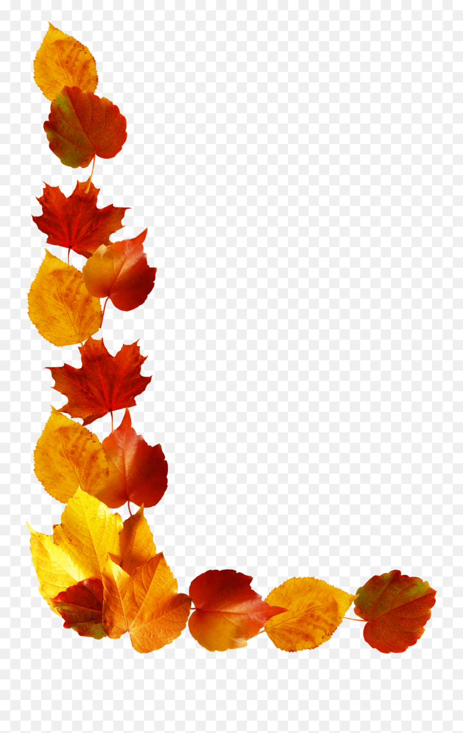 Fall Leaves Clip Art - Fall Leaves Border Png Emoji,Fall Leaves Png