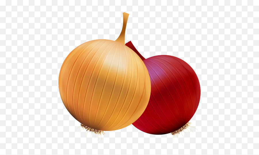 Onion And Red Onion Png Clipart - Onion Clipart Png Emoji,Nutrition Clipart