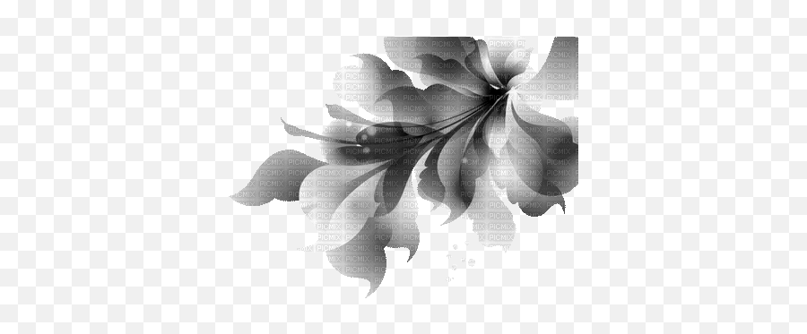 Flower Flowers Black Deco Decoration Gif Animation Emoji,White Flower Transparent