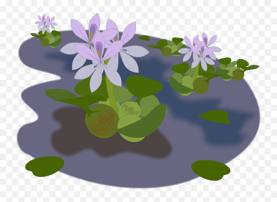 Pond Free To Use Clipart - Water Hyacinth Clipart Emoji,Pond Clipart