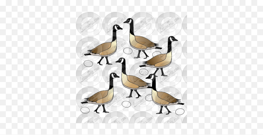 Six Geese Picture For Classroom - Canada Goose Emoji,Goose Clipart