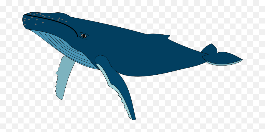 Openclipart - Clipping Culture Humpback Whale Emoji,Narwhal Clipart