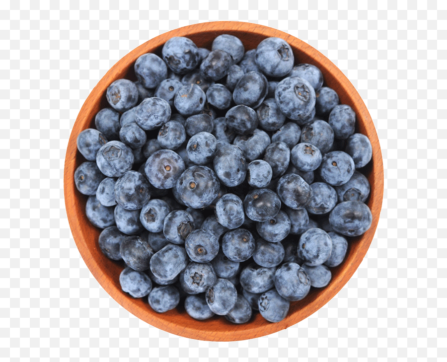 Blueberries Png High - Medallion Medieval Emoji,Blueberry Png