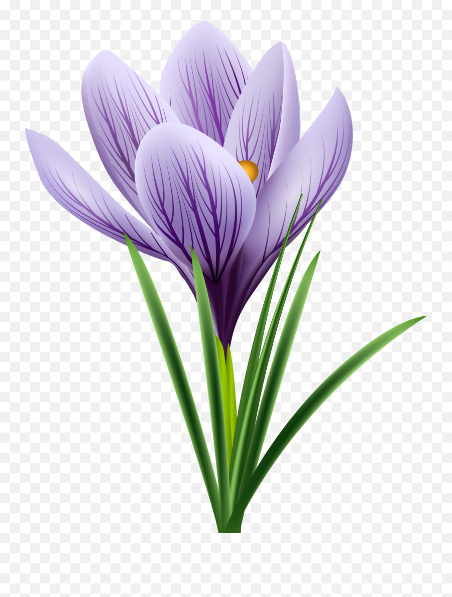 Purple Flower - Crocus Clipart Emoji,Purple Flower Clipart
