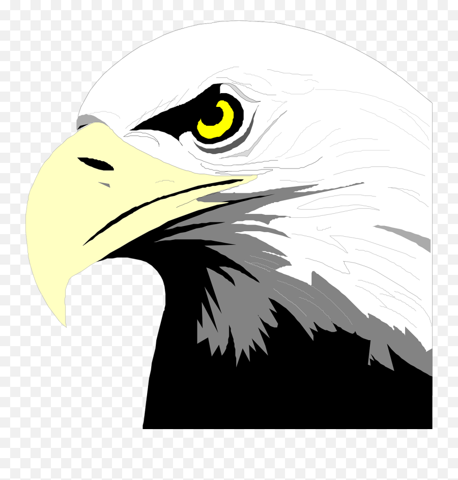 Bald Eagle Head Png Svg Clip Art For - Isaiah 40 31 Clipart Emoji,Bald Eagles Clipart