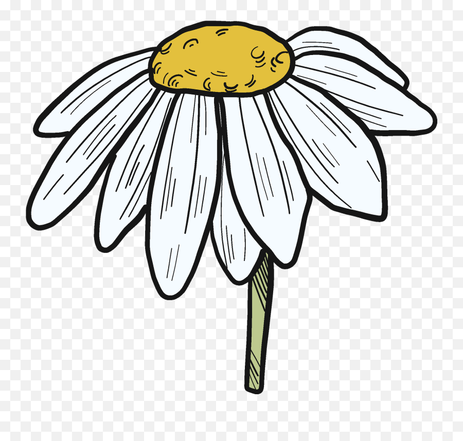 Daisy Clipart Free Download Transparent Png Creazilla - Flower Daisy Flower Clipart Black And White Emoji,Daisy Clipart