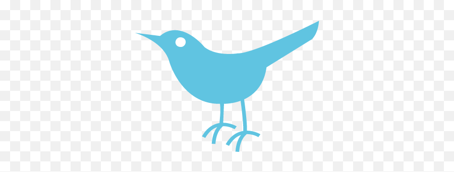 10 Transparent Twitter Bird Icon Images - Kung Fu Panda Twitter Bird Icon Emoji,Bird Logo