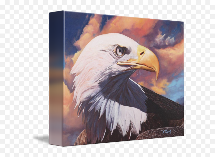 Original Oil Painting Bald Eagle By Yue Zeng - Bald Eagle Oil Painting Emoji,Bald Eagle Png