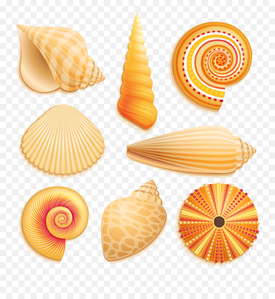 Beach Clipart Painted Shells Ocean Life Marine - Printable Seashell Clipart Emoji,Shells Clipart